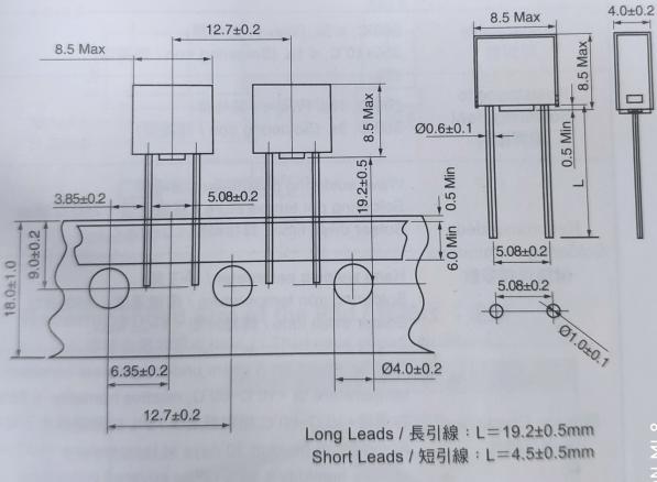 2010T10A250V塑封保险丝